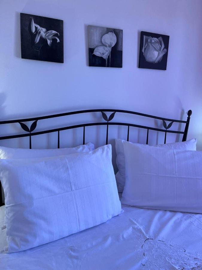Apartman Gorana With Swimming Pool Jelsa  Esterno foto