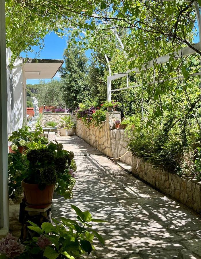 Apartman Gorana With Swimming Pool Jelsa  Esterno foto